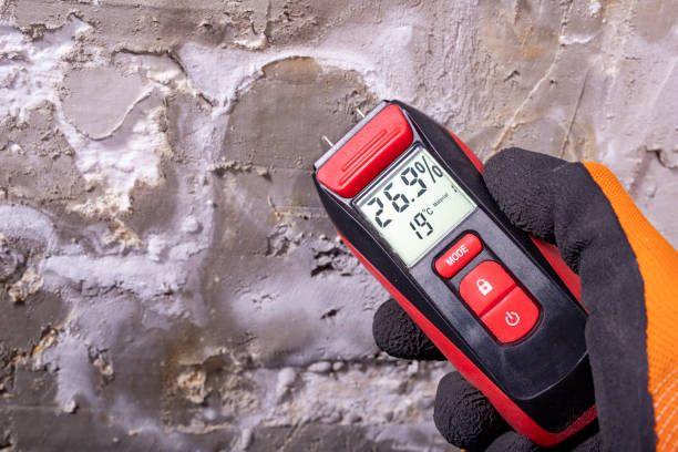 Best Office Mold Removal Services  in Island Walk, FL