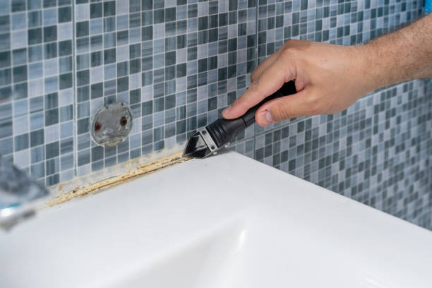 Trusted Island Walk, FL Mold Removal Experts